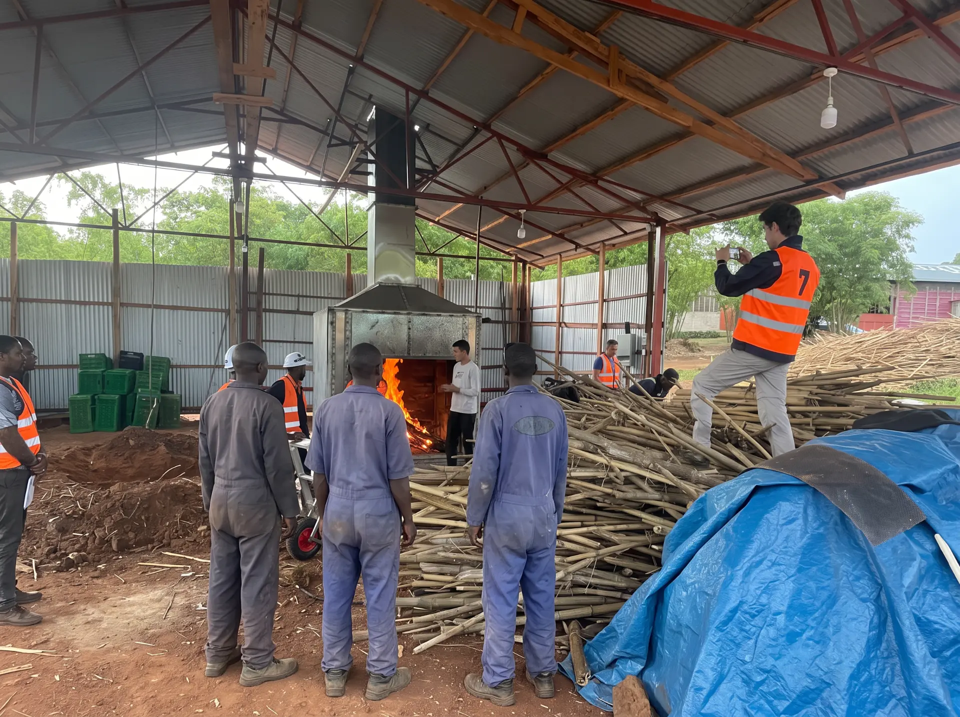 Bamboo maintenance as a business model in Western Uganda