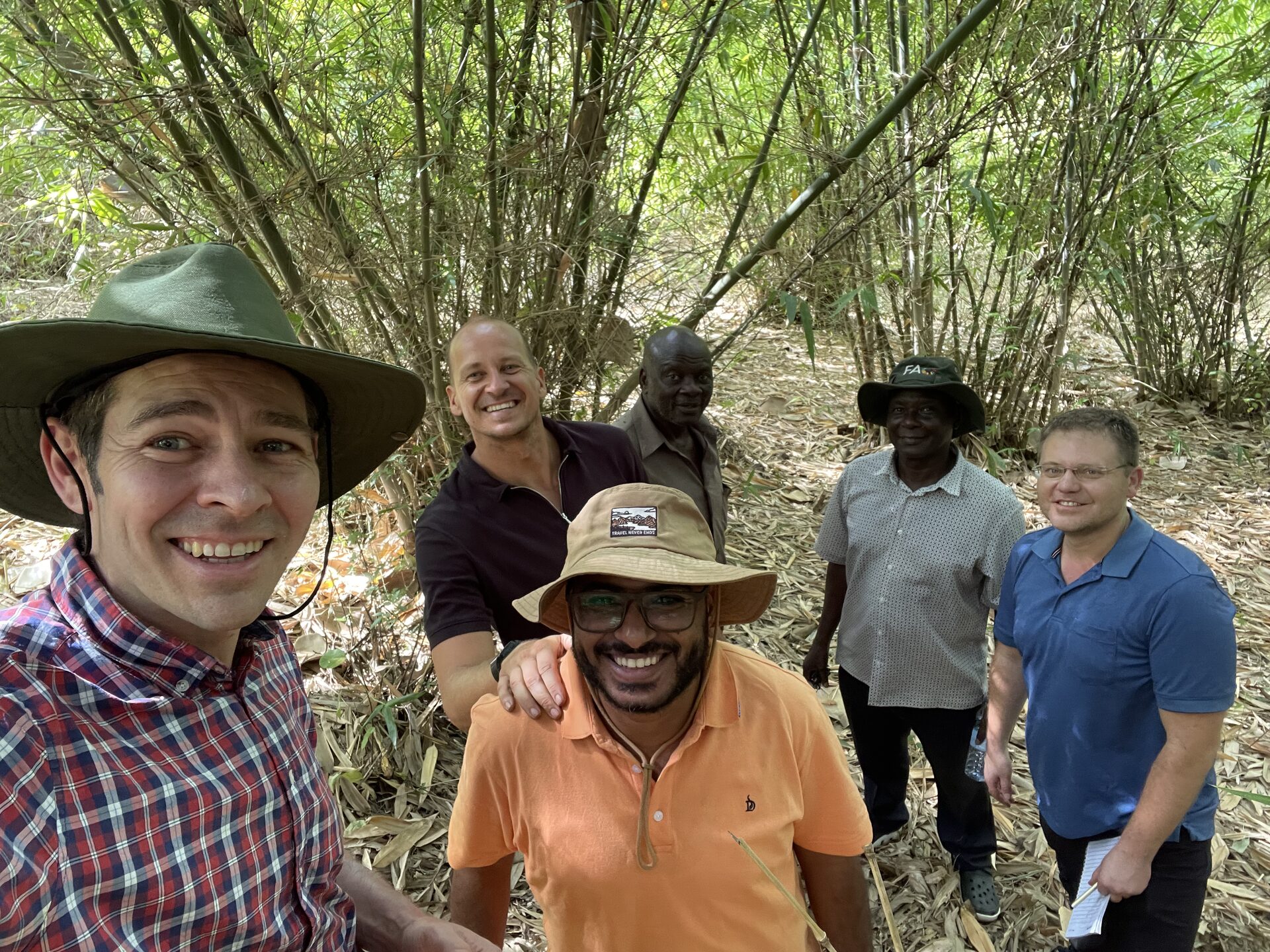 Our team walking through a bamboo forest