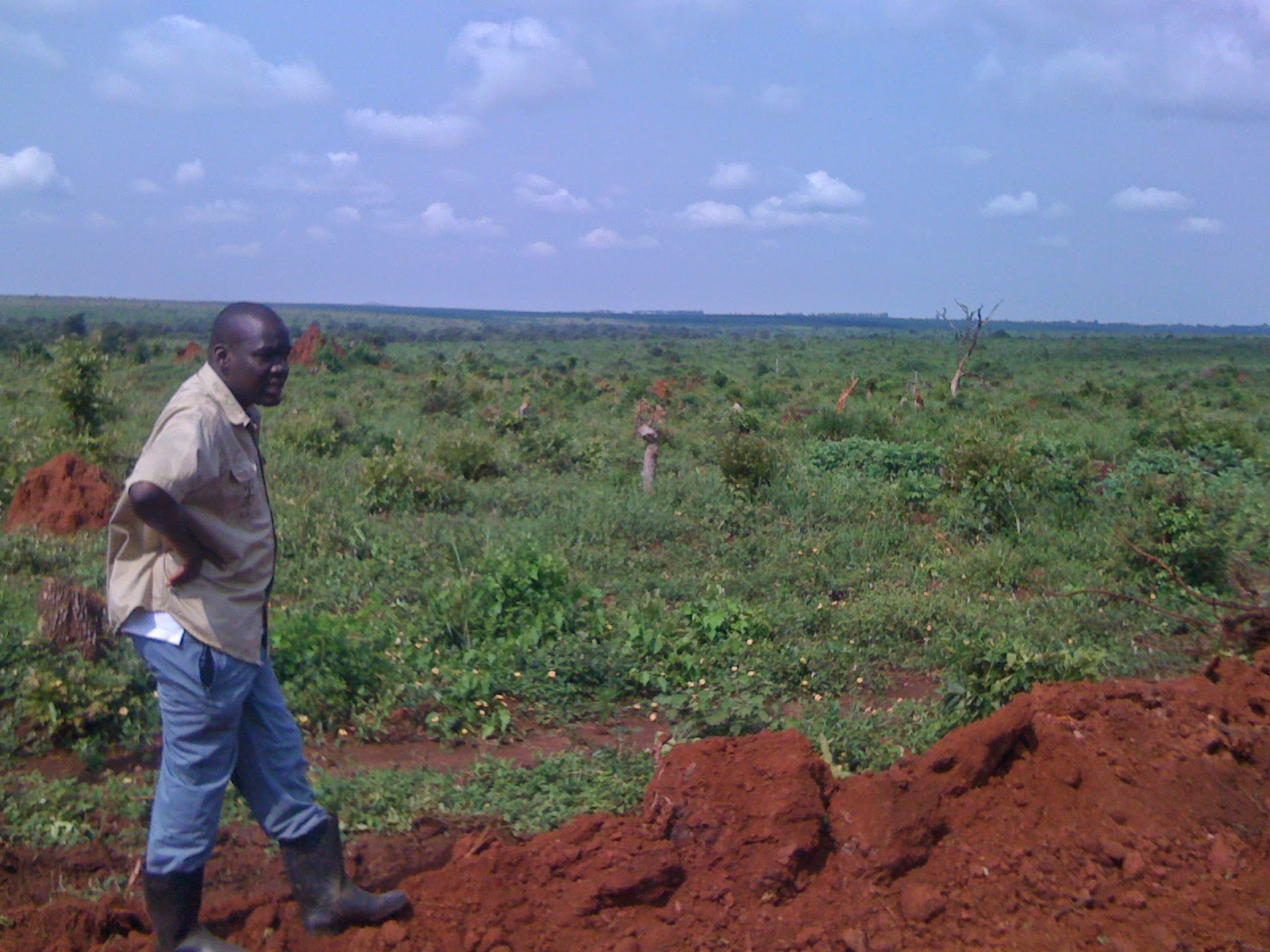 Reserve area before first planting