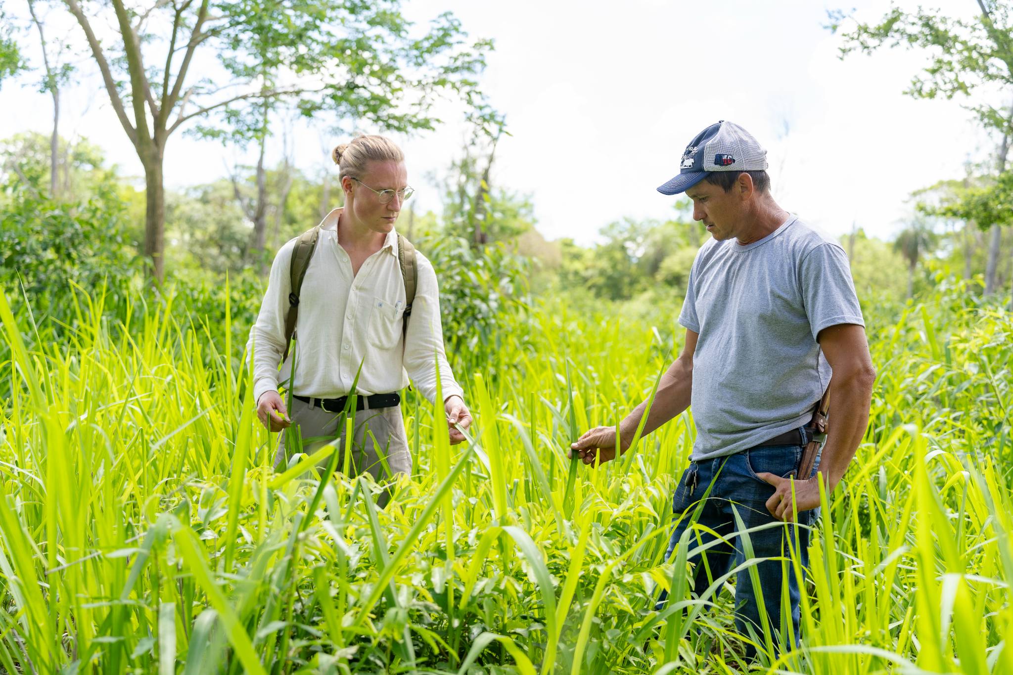 Project leads on the Forestal Rio Aquidabán site