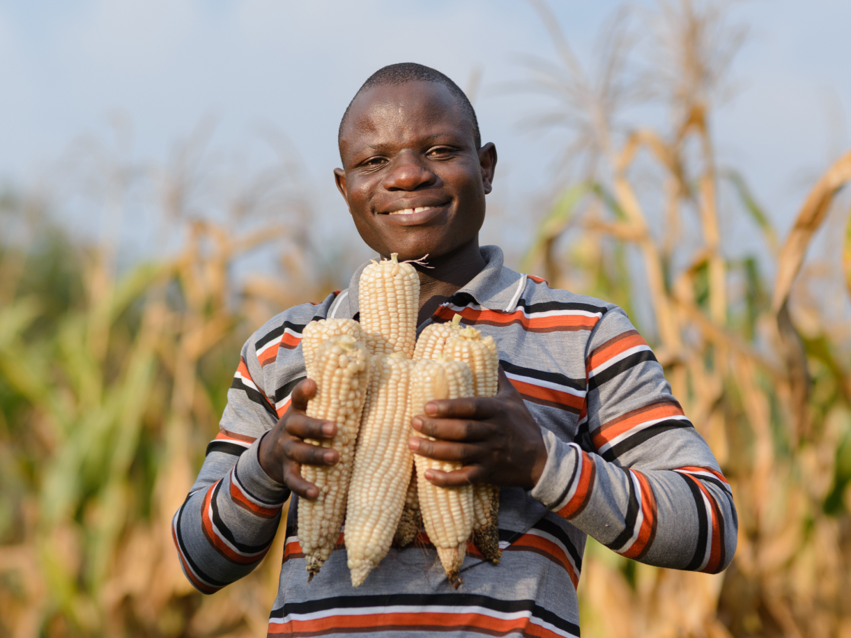 Farmer Fred Muwalampya with his maize