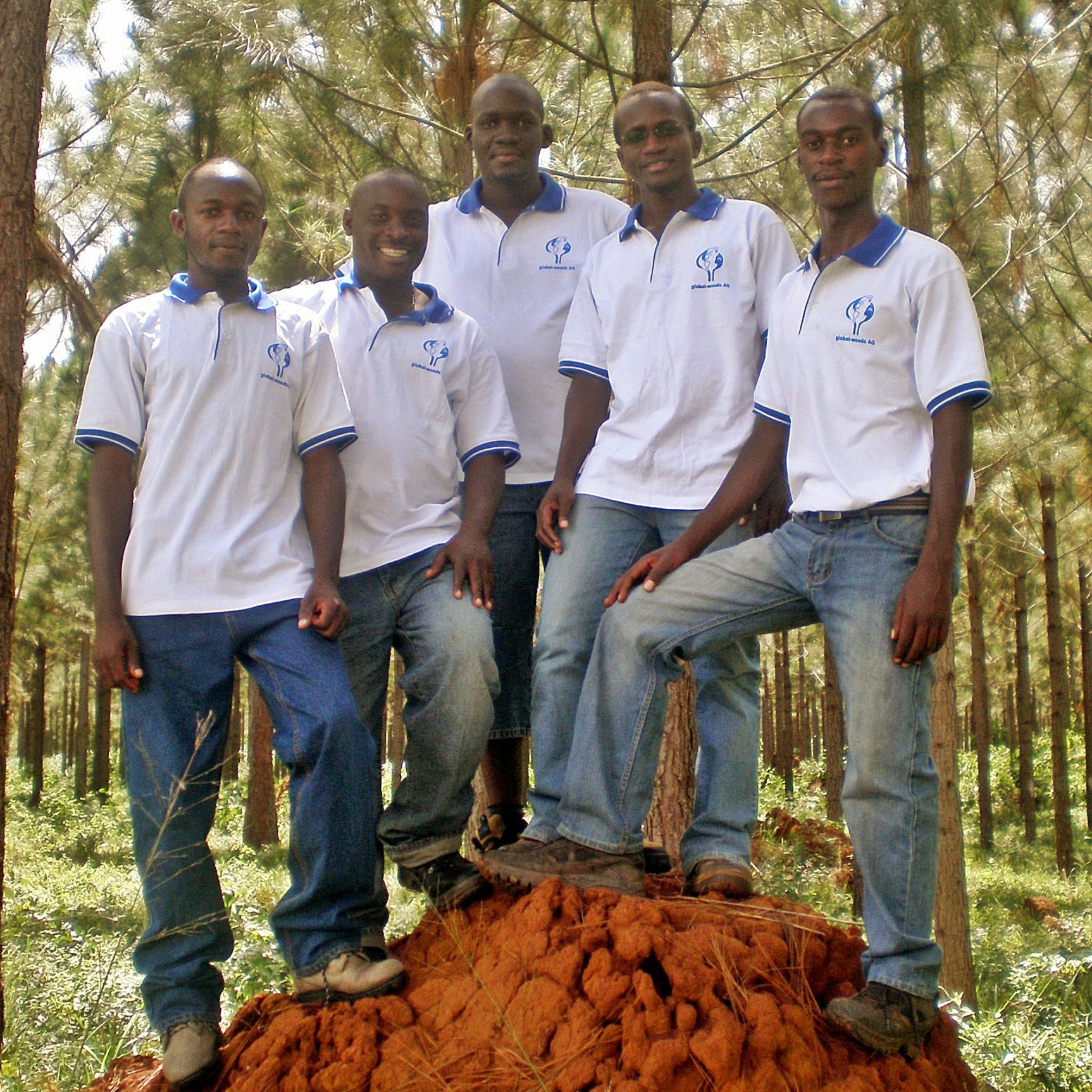 Planting team in the reserve