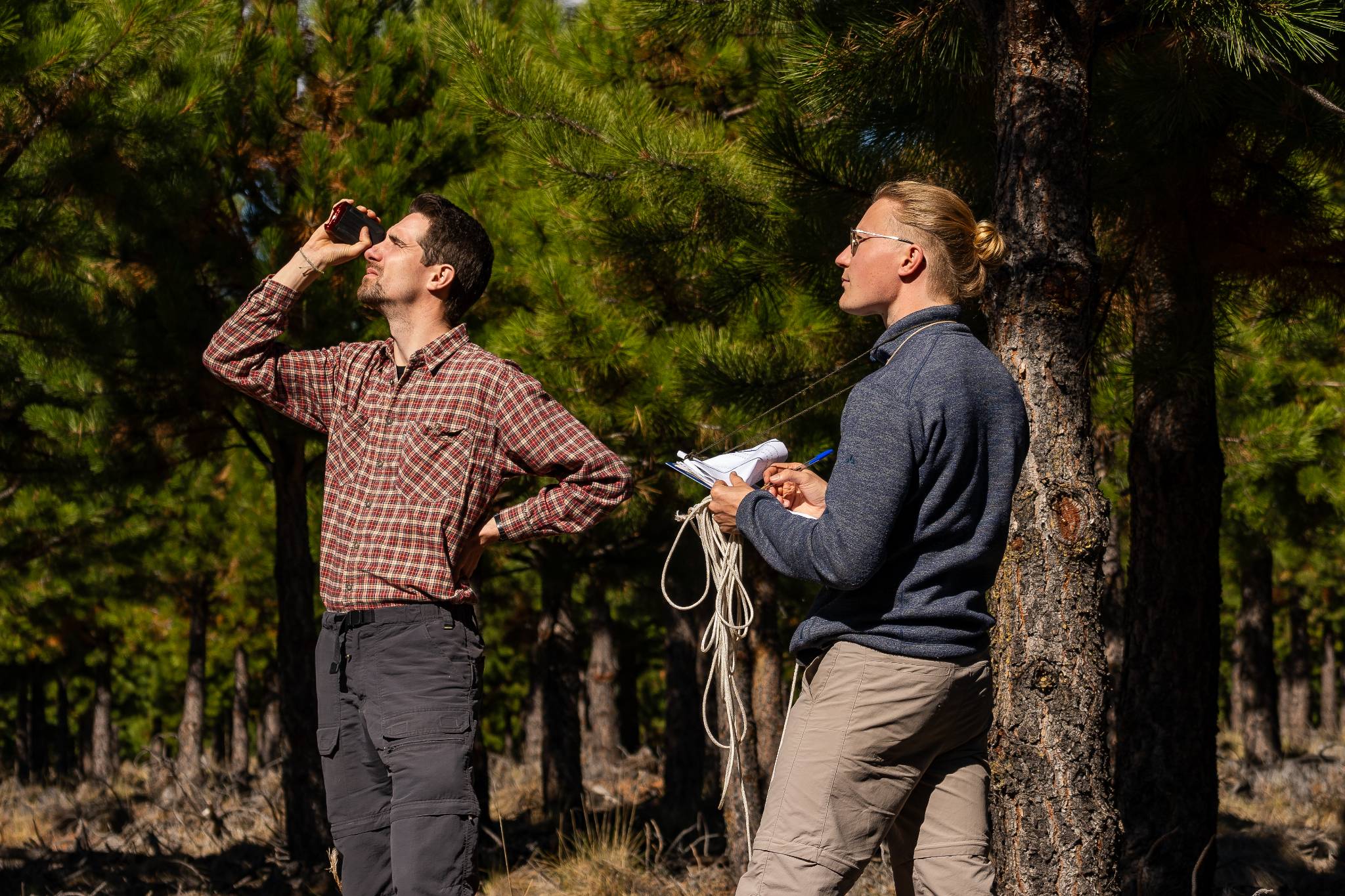 Forest measurements in the field