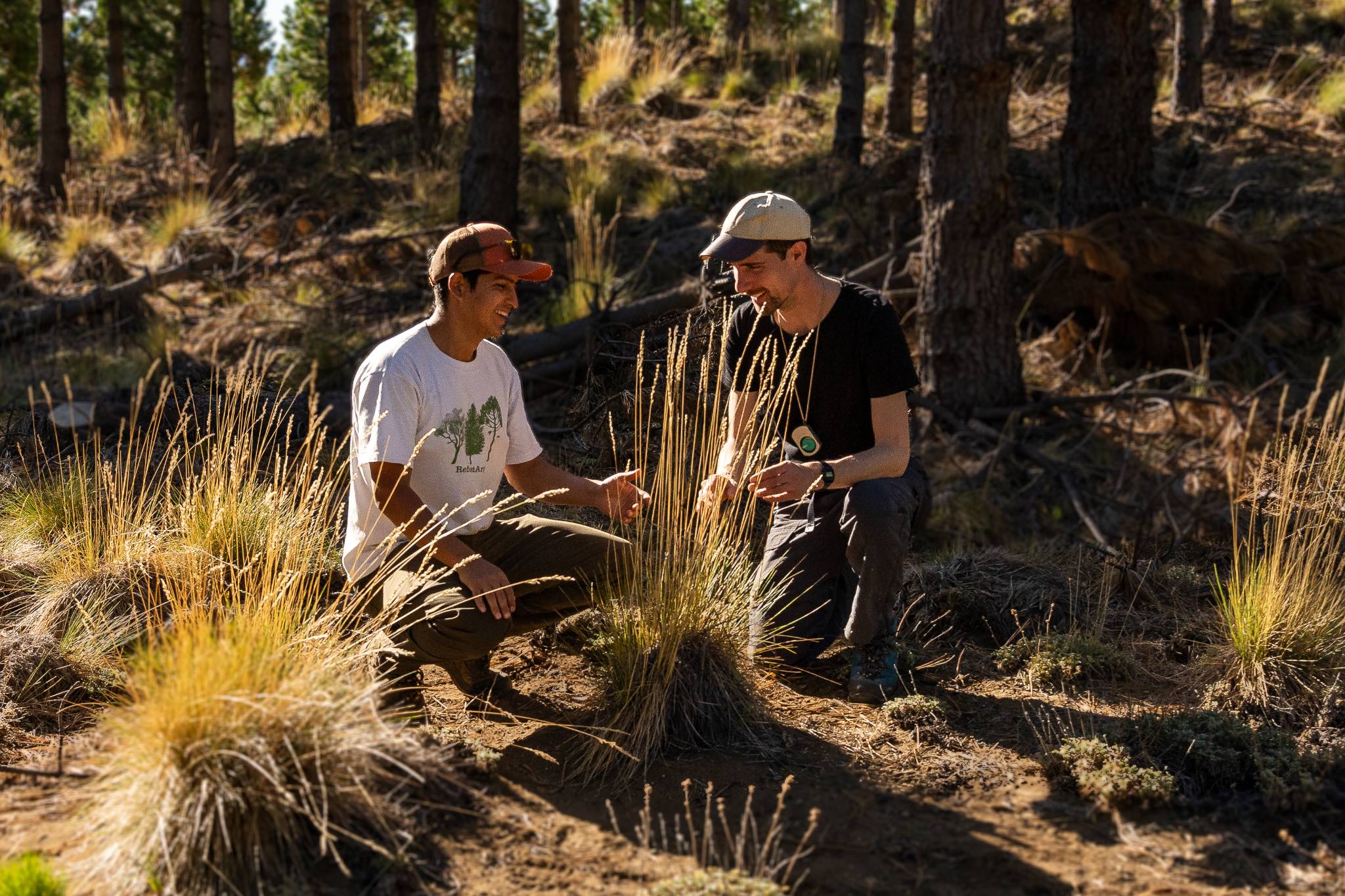Field team monitoring grasslands in Patagonia